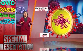 Covid එන්නත ශරීරය තුළ හැසිරීම | Nature 24 | Special Presentation