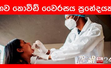 විකෘතීන් රැසකට බඳුන් වූ නව කොවිඩ් වෛරසය ප්රභේදයක්